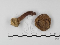 登錄號:F0008566藏品圖，第1張