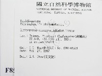 登錄號:F0008568藏品圖，第2張