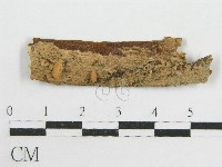 登錄號:F0008568藏品圖，第1張
