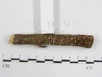 登錄號:F0008571藏品圖，第3張
