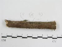 登錄號:F0008571藏品圖，第5張