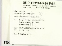 登錄號:F0008573藏品圖，第2張
