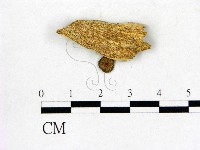 登錄號:F0008573藏品圖，第1張