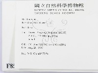 紅菇屬藏品圖，第2張