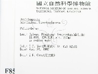登錄號:F0008579藏品圖，第2張