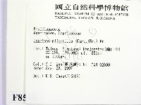 登錄號:F0008580藏品圖，第2張