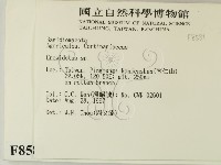 登錄號:F0008581藏品圖，第2張