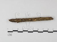 登錄號:F0008581藏品圖，第1張