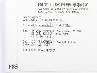 登錄號:F0008584藏品圖，第2張