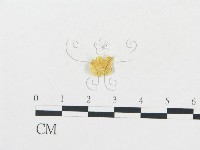 登錄號:F0008584藏品圖，第1張