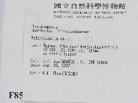 登錄號:F0008585藏品圖，第2張
