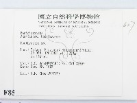 登錄號:F0008587藏品圖，第2張