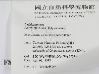 登錄號:F0008590藏品圖，第2張