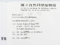 登錄號:F0008594藏品圖，第2張