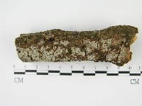 登錄號:F0008594藏品圖，第1張