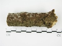 登錄號:F0008594藏品圖，第3張