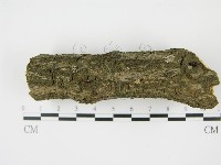 登錄號:F0008594藏品圖，第4張