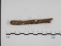 登錄號:F0008595藏品圖，第3張