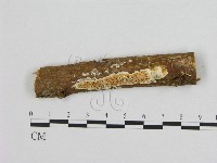 登錄號:F0008596藏品圖，第1張