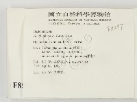冇骨消絲齒菌藏品圖，第2張