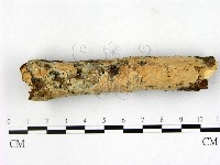 登錄號:F0008598藏品圖，第1張