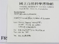 登錄號:F0008599藏品圖，第2張