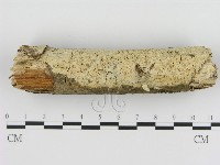 登錄號:F0008599藏品圖，第1張