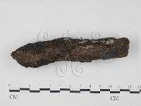 登錄號:F0008600藏品圖，第3張
