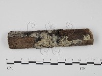 登錄號:F0008601藏品圖，第1張