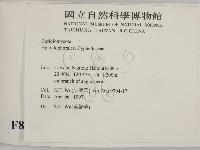 登錄號:F0008602藏品圖，第2張