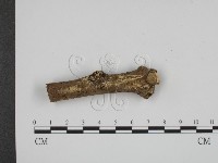 登錄號:F0008602藏品圖，第1張