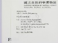 登錄號:F0008603藏品圖，第2張