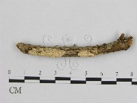 登錄號:F0008603藏品圖，第1張