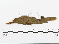 登錄號:F0008608藏品圖，第1張