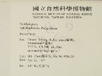 多孔菌屬藏品圖，第2張