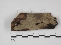 登錄號:F0008612藏品圖，第1張