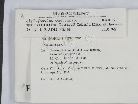 登錄號:F0008616藏品圖，第2張