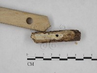 登錄號:F0008616藏品圖，第3張