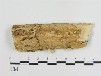 登錄號:F0008619藏品圖，第1張