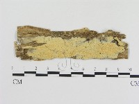 登錄號:F0008620藏品圖，第1張