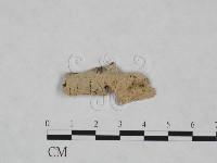 登錄號:F0008621藏品圖，第1張