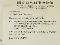 登錄號:F0008622藏品圖，第2張