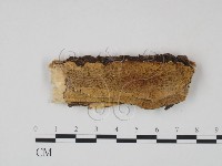 登錄號:F0008622藏品圖，第1張