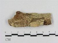 登錄號:F0008623藏品圖，第1張