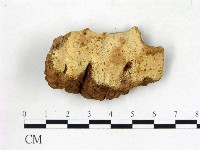 登錄號:F0008624藏品圖，第1張