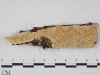 登錄號:F0008626藏品圖，第1張