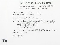 登錄號:F0008628藏品圖，第2張
