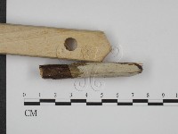 登錄號:F0008629藏品圖，第3張
