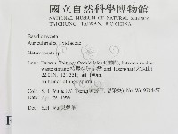 刺皮菌屬藏品圖，第2張
