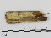 登錄號:F0008632藏品圖，第1張
